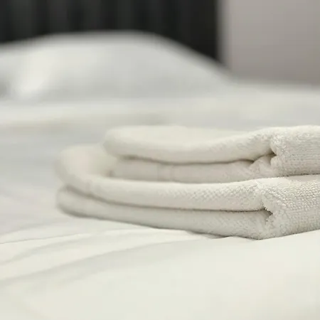 Transylvania Central Apartment *