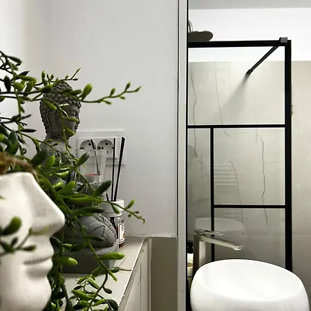 Apartment Transylvania Central Cluj-Napoca