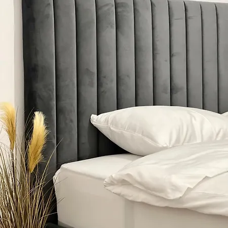 Transylvania Central Apartmán Kluž