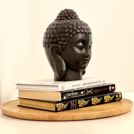 Apartment Transylvania Central *