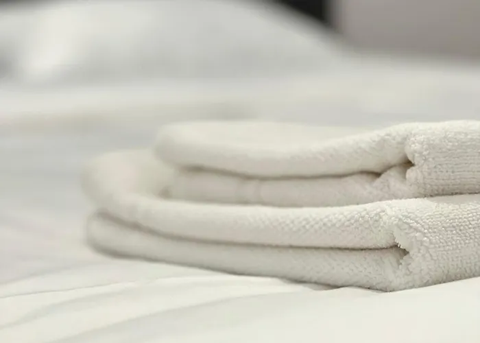 Transylvania Central Apartment *