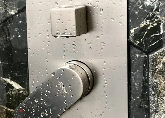 Transylvania Central *