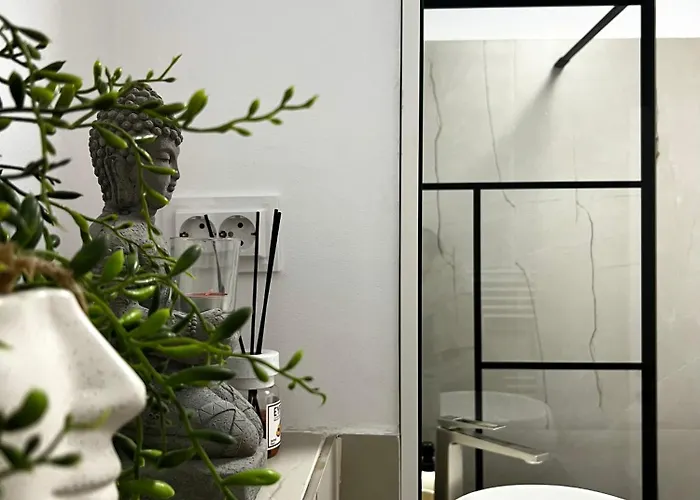 Apartment Transylvania Central Cluj-Napoca